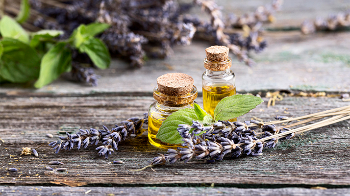 Aromaterapi Eğitimi